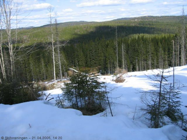 Vinterlig ved Svartbekken