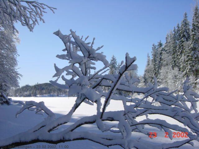 Vintermosaikk ved Gørja