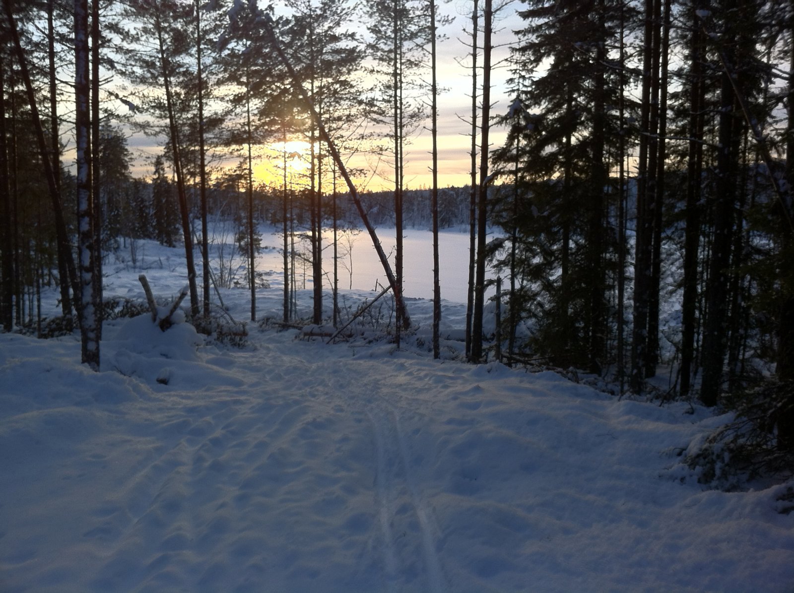 Vintersol på ubrukte løyper