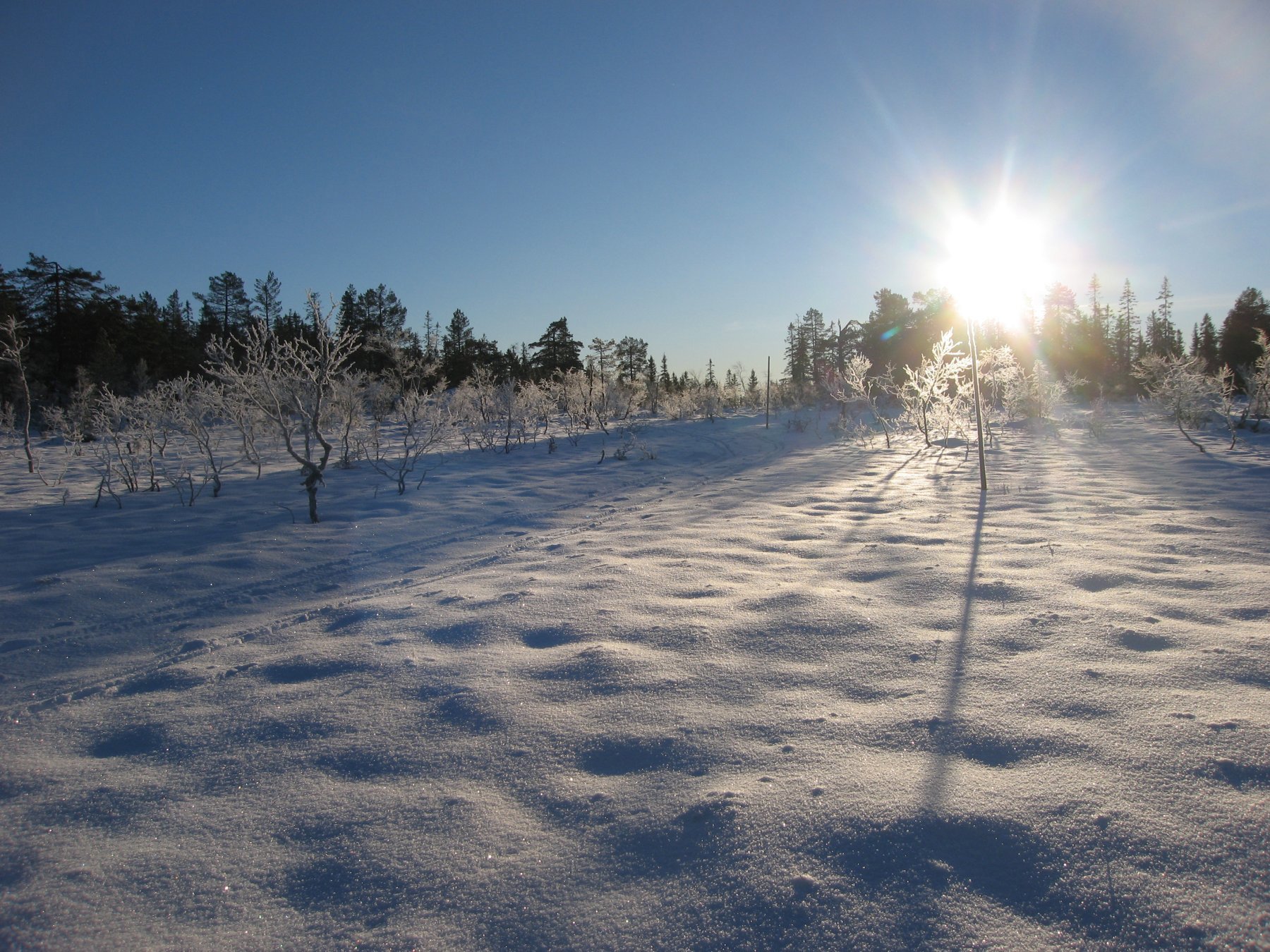 Vinterstemning på Åssjøflaka