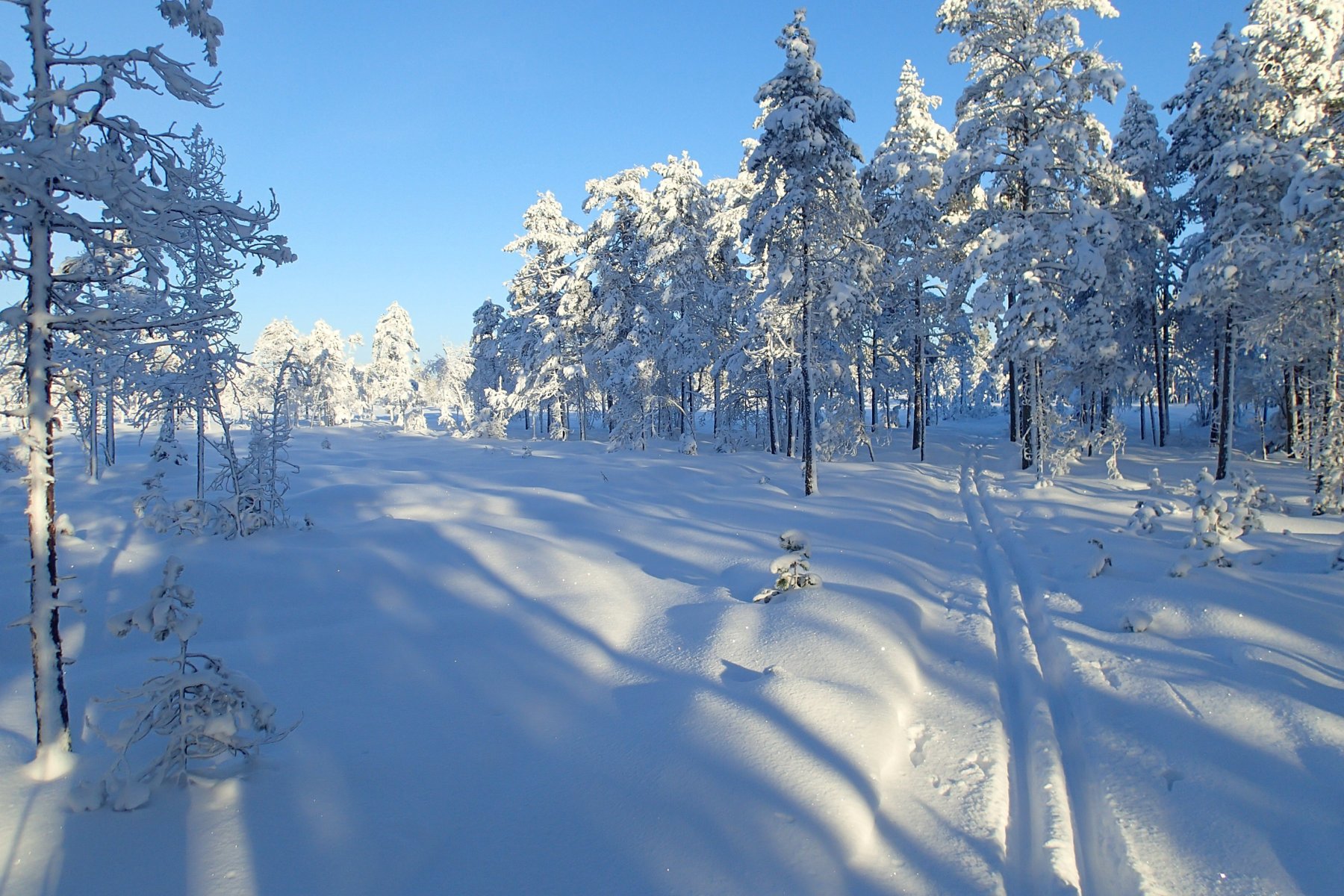 Vinterstemning på Høgmyra