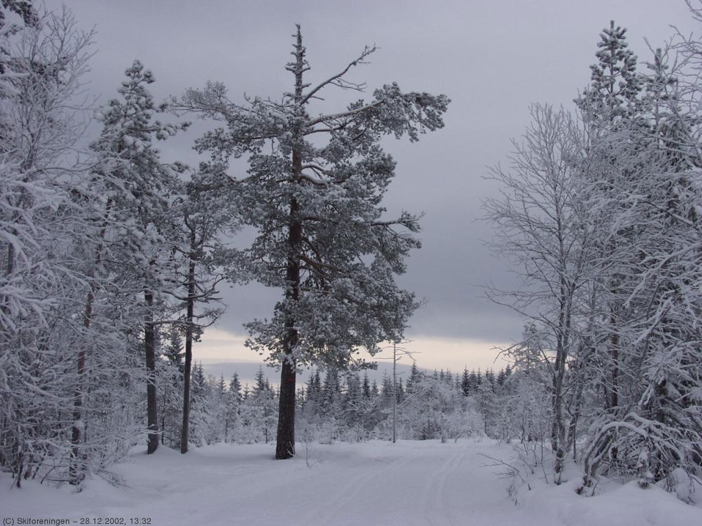 Vinterstemning på Stormyra i Vestmarka