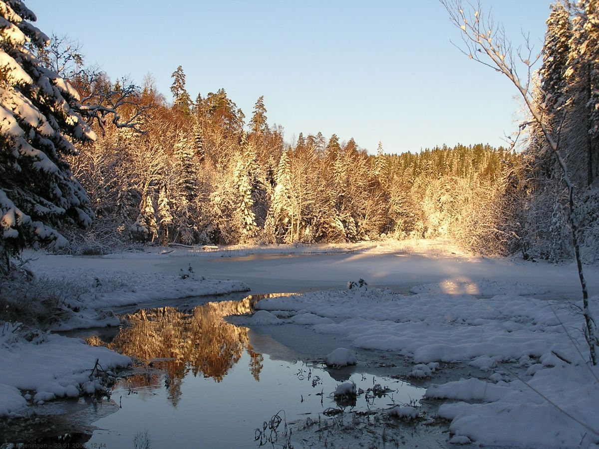 Vinterstemning ved Setertjern