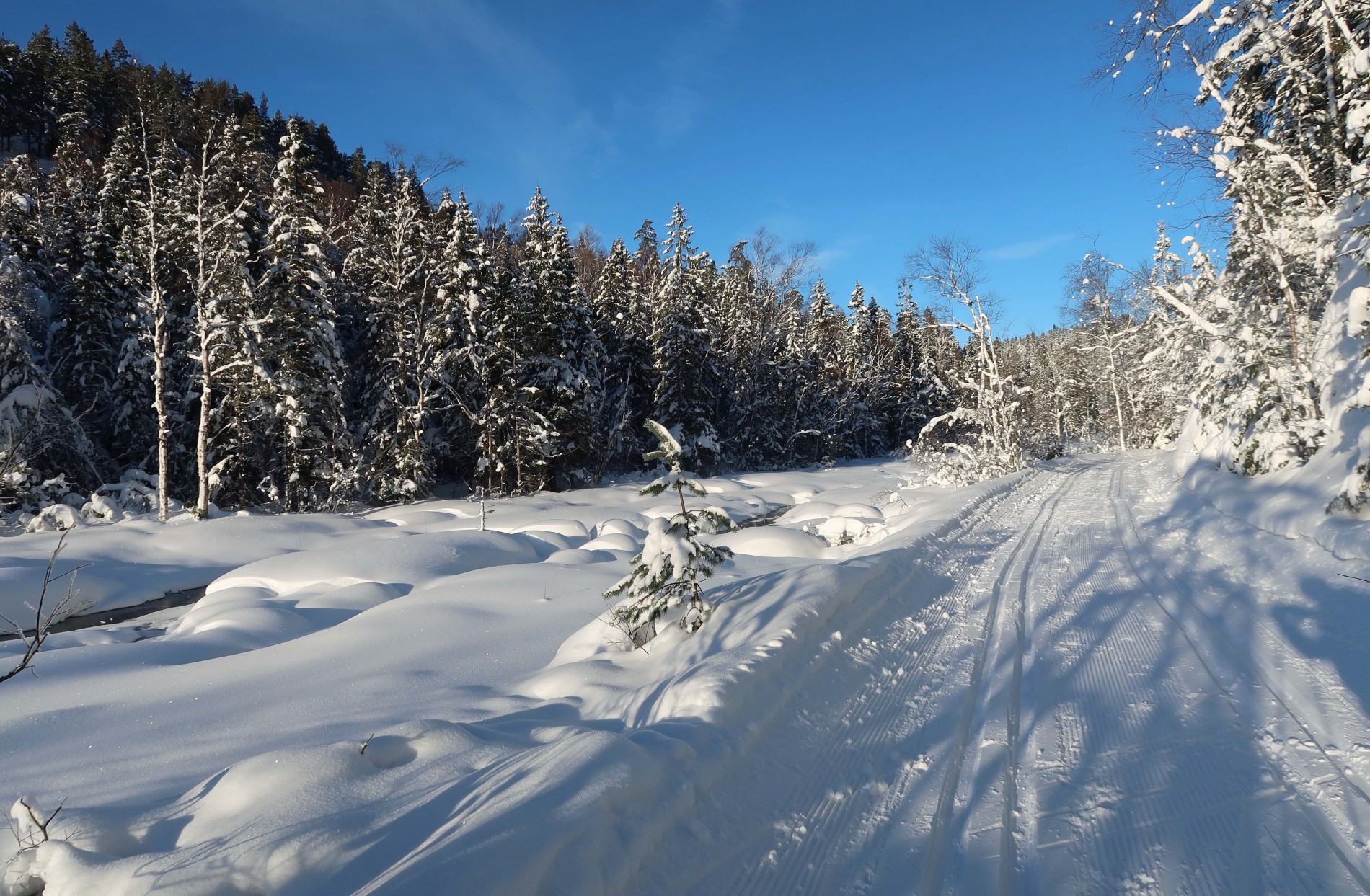 Vintervakkert ved Nedre Setertjern