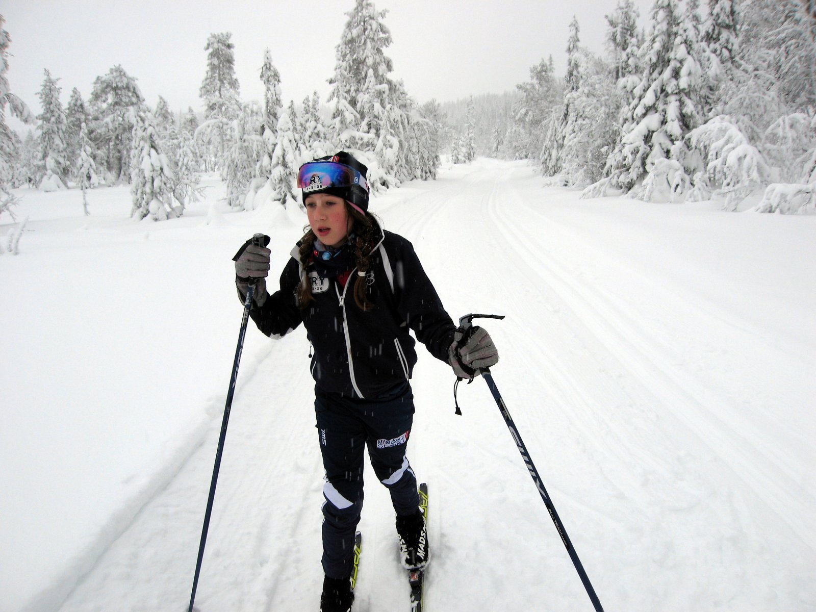 Vintervær over Grevsjømyrene