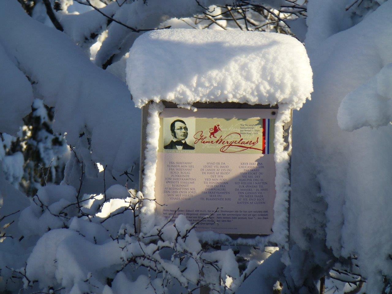 Wergeland og Skreikampen