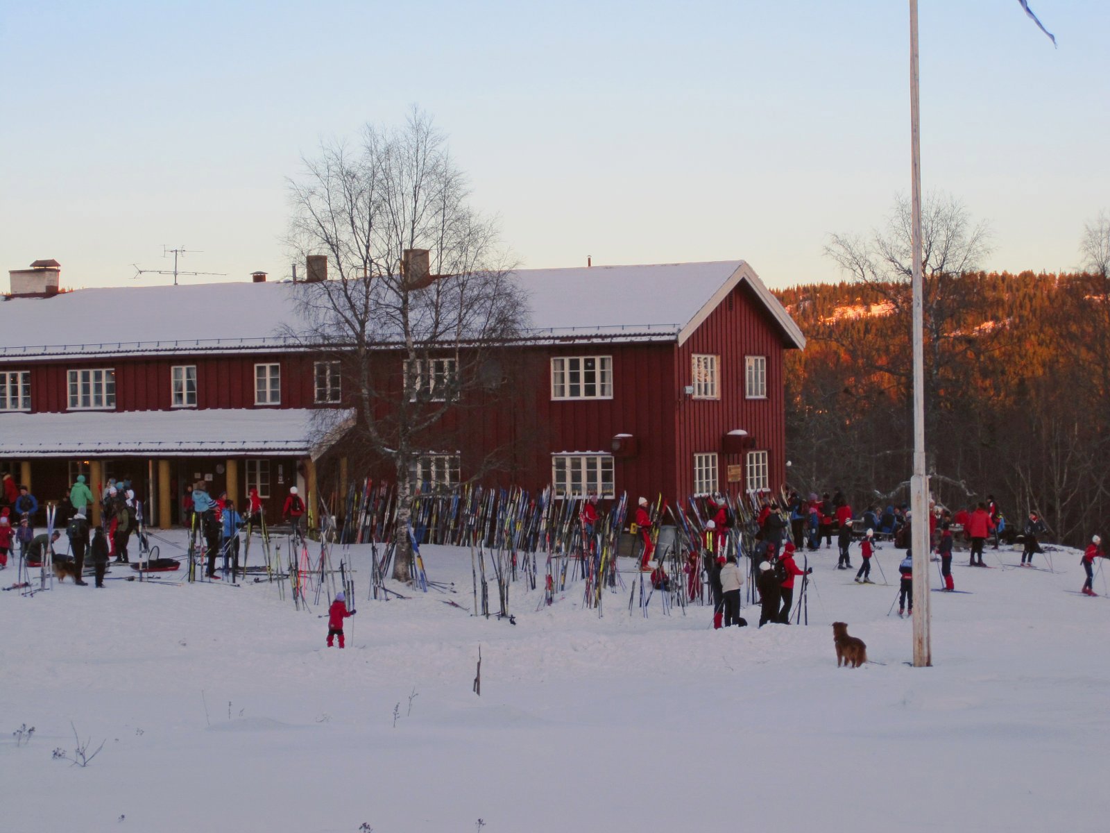 Yrende liv på Ullevålseter