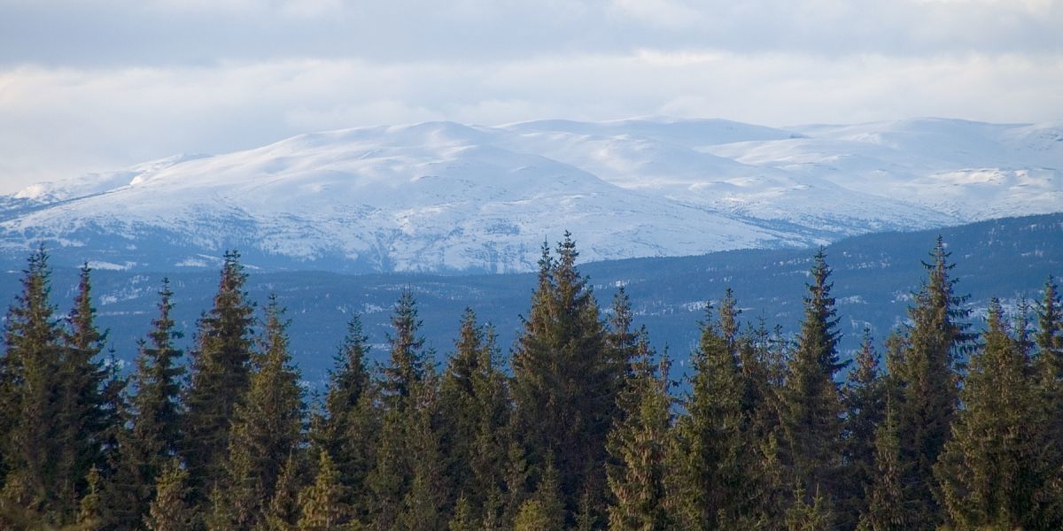 Zooming mot fjellheimen