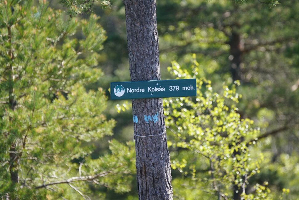 Høyest på Kolsås