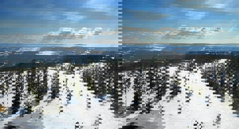 Flott utsikt fra Lauvhøgda