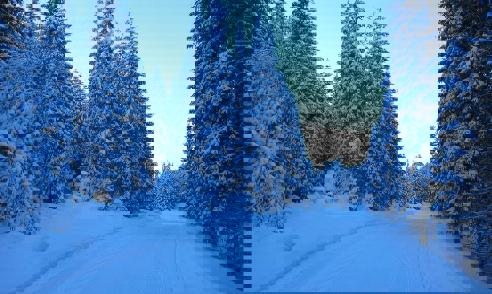 Supertrase gjennom Stillvatndalen