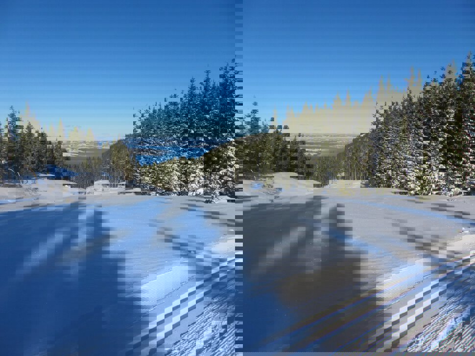 Utsikt fra Læssplassen