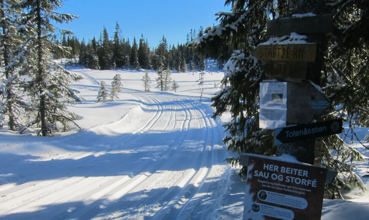 Løyper ved Lopperud Løyper ved Lopperud