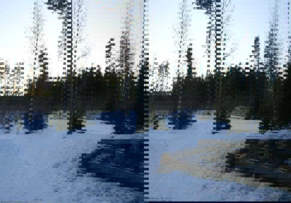 Tomme stubber på Trampen