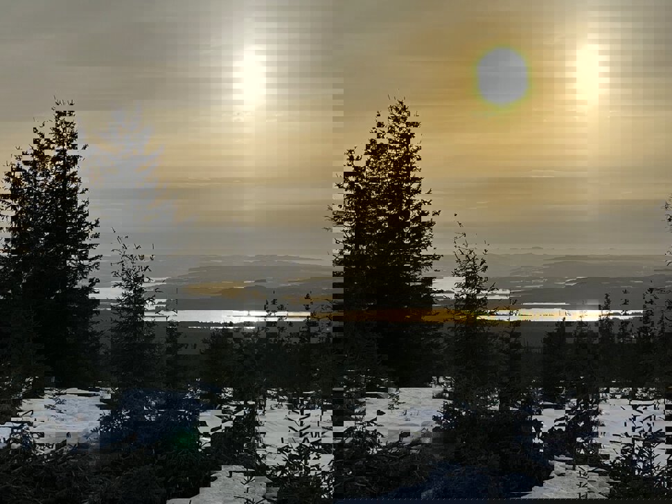 Utsikt fra Lauvhøgda