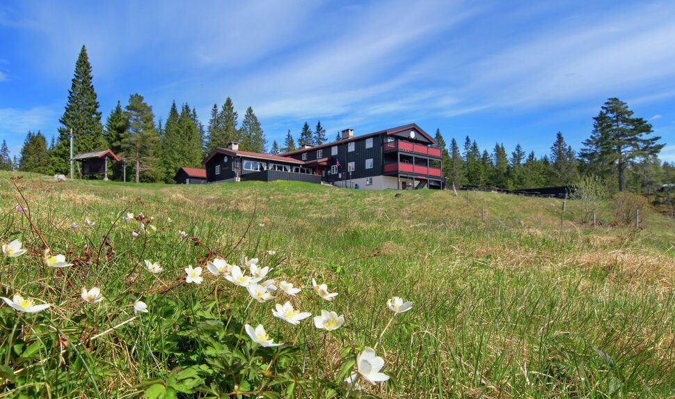Det blomstrer på vollen