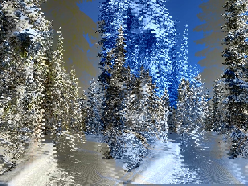 Opp bakkene fra Stillvatndalen