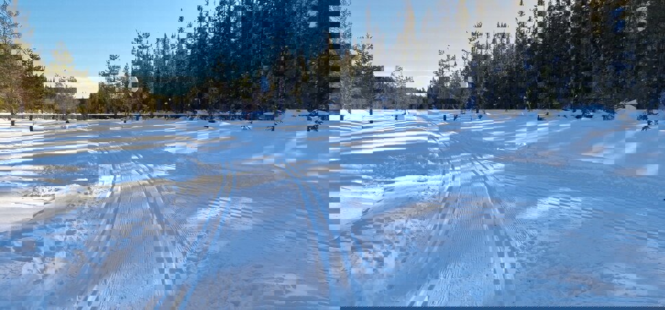 Løypekrysset på Langmyra