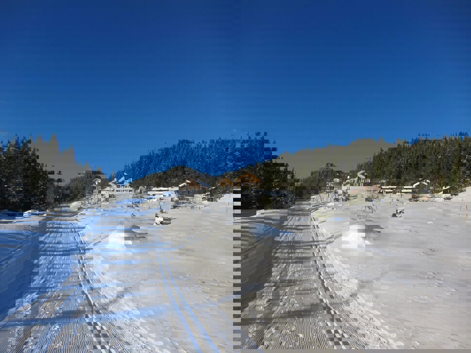 Oppover mot Nybrenna