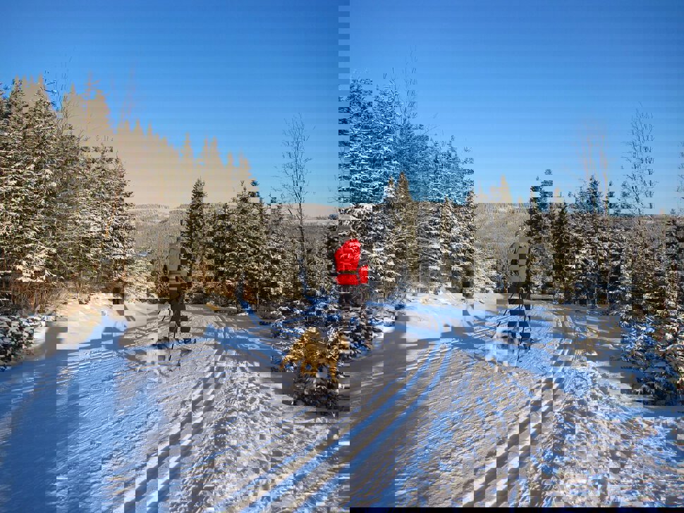 Full fart mot Torsætra