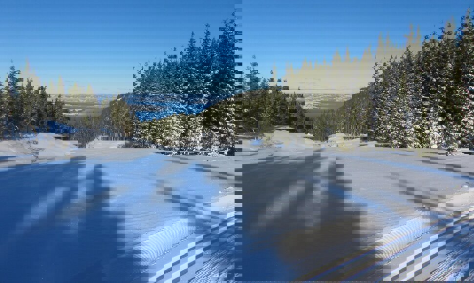 Utsikt fra Læssplassen