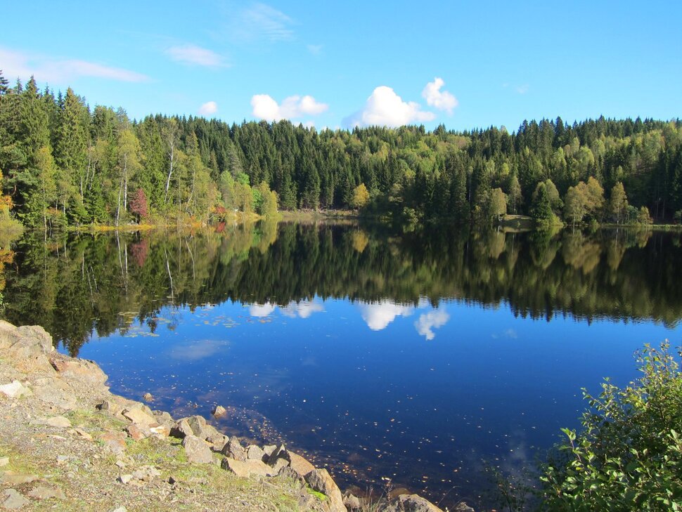 Høstdag ved Søndre Movann