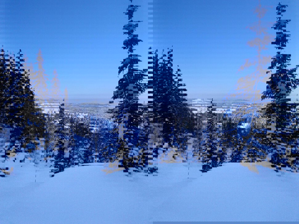 Det er i motbakke det går oppover