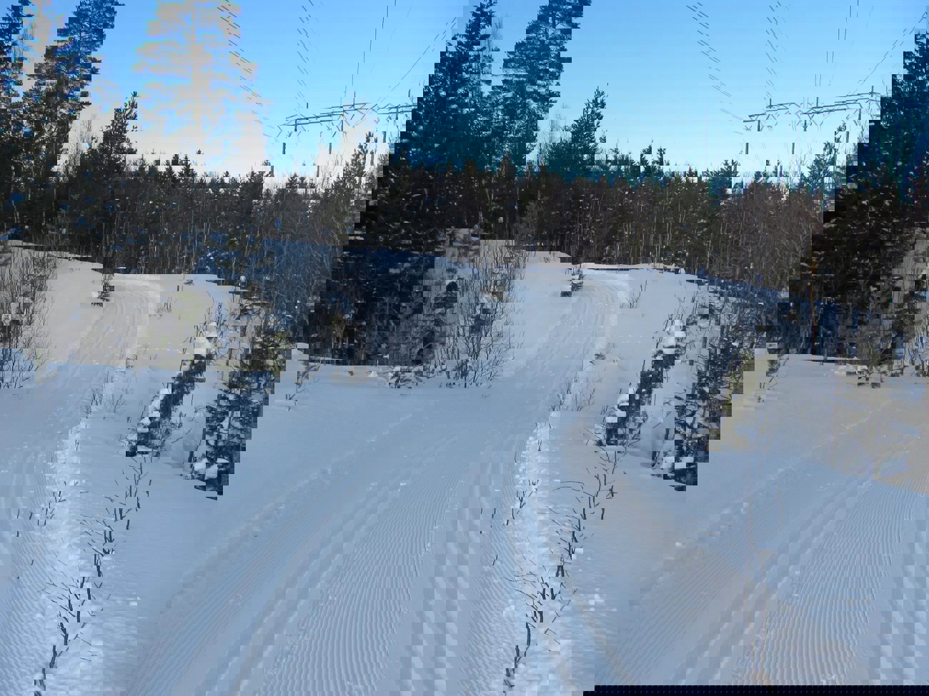 Fine spor i Kollerløypa