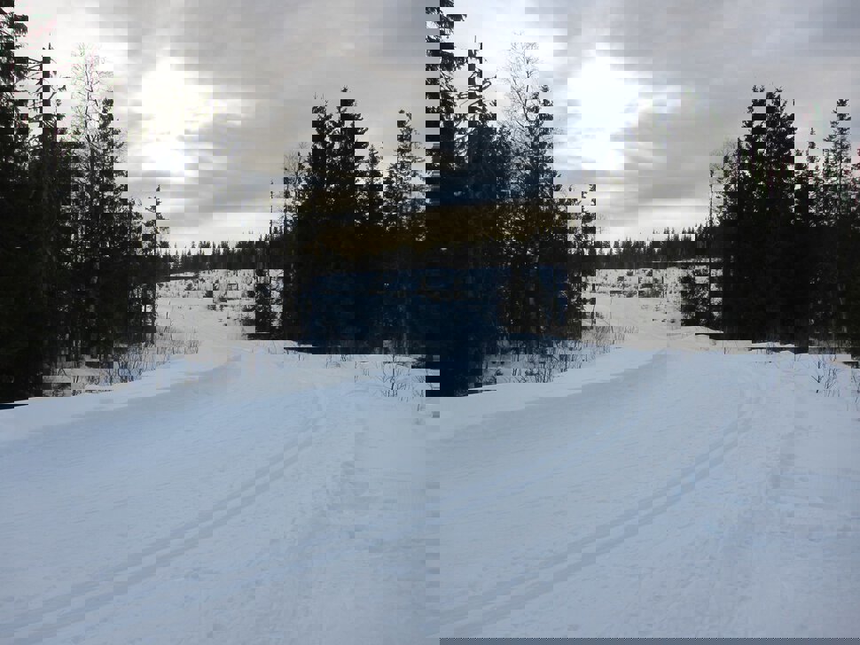 Løyper ved Bjønnhaugen