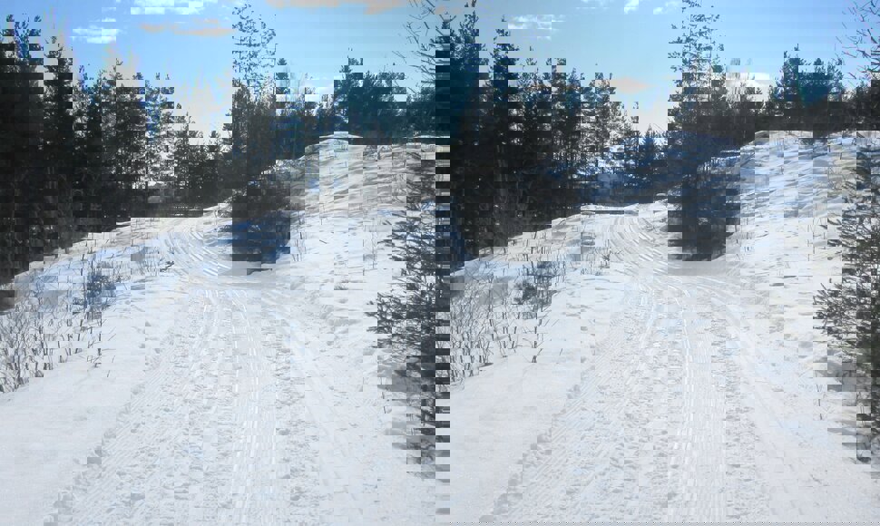 I løypa fra Bergerbakken skole