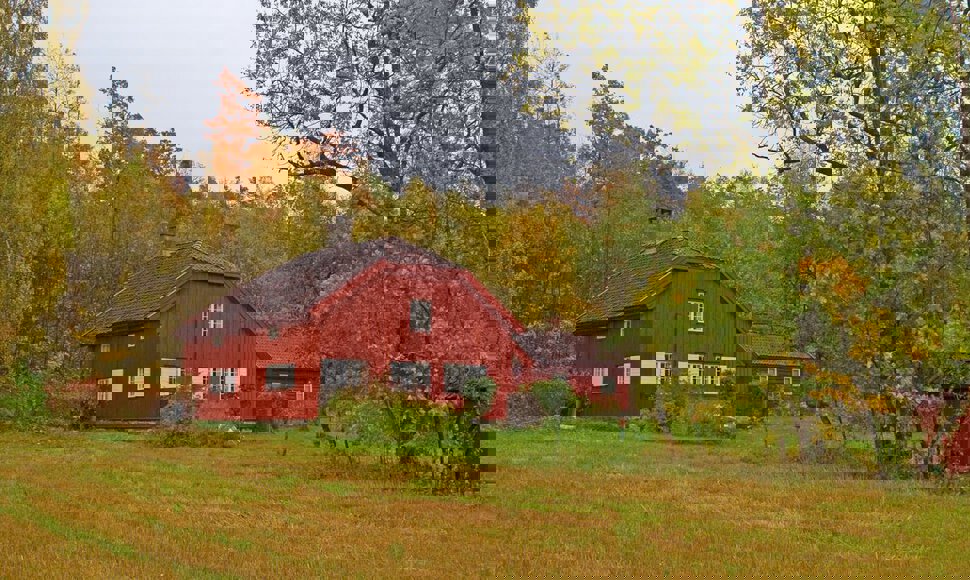 Høst ved Søndre Skotta