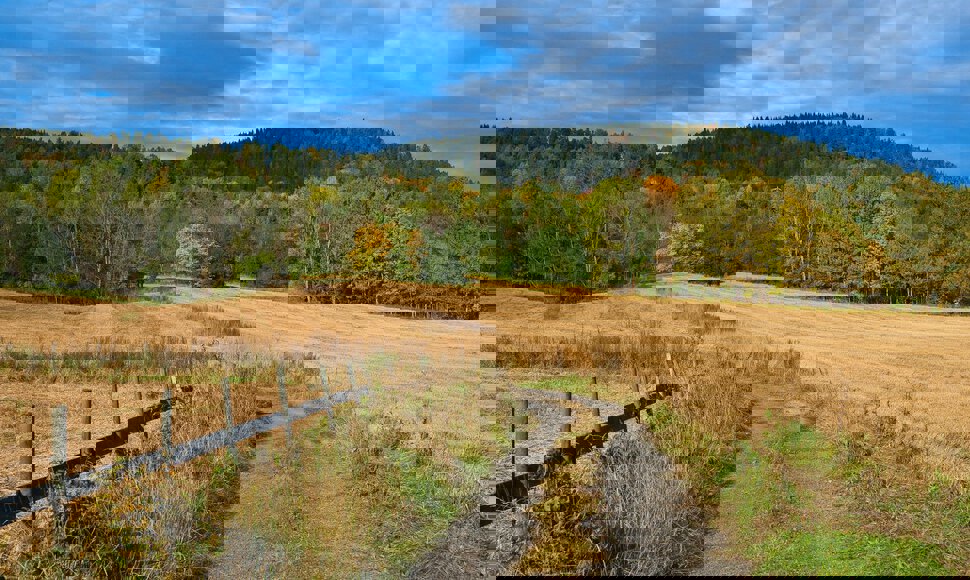 Utsyn mot Gardlaushøgda