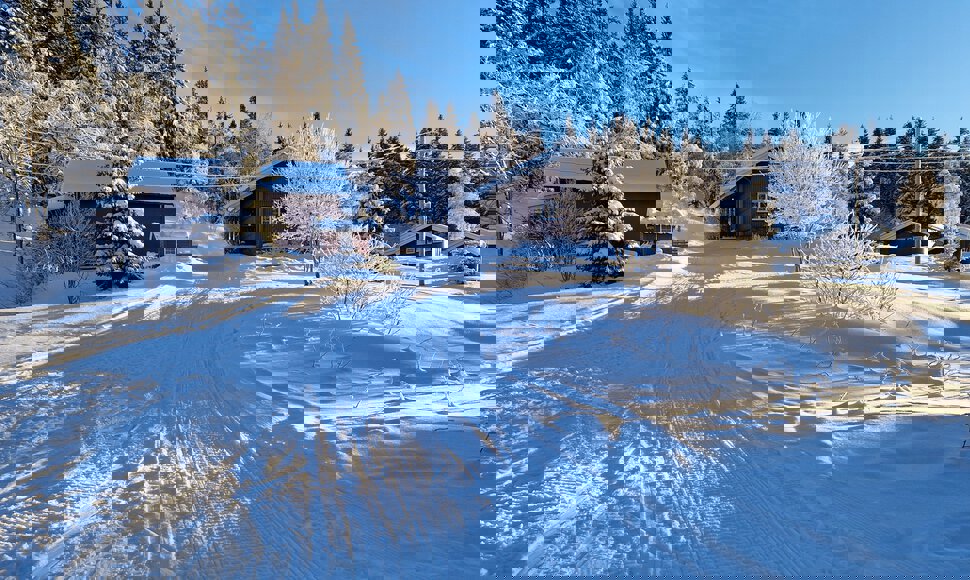 Januarsol ved Maristua