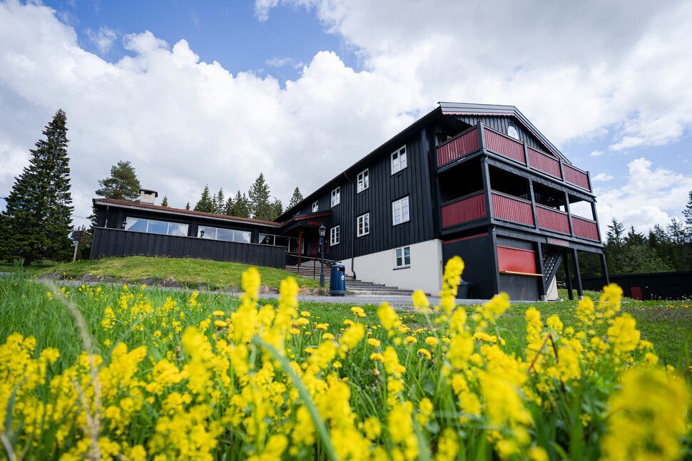 Løvlia sommeren 2022