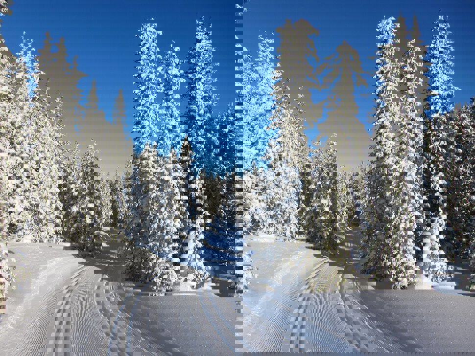 Inn i vinterskogen ved Fløytensætra