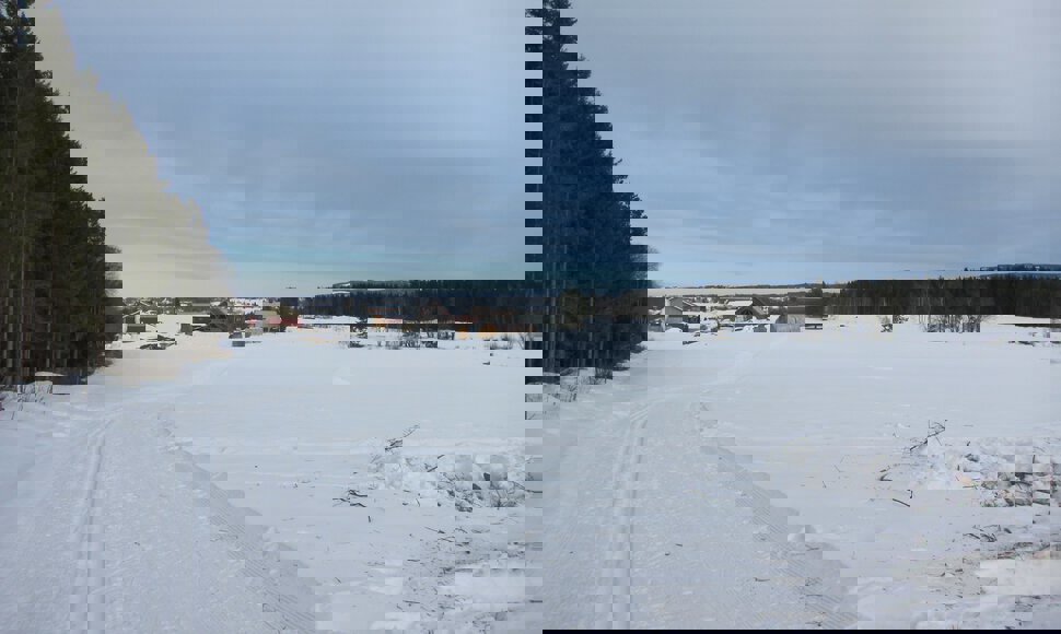 Ned mot Myrbakken og Røysli