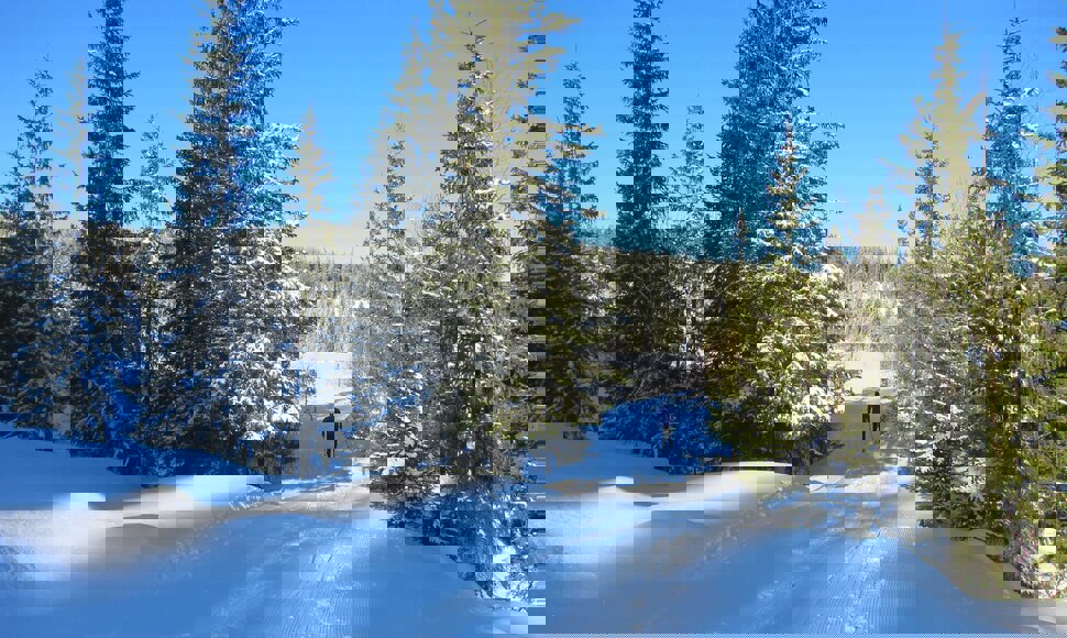 Nordover langs Kroktjern