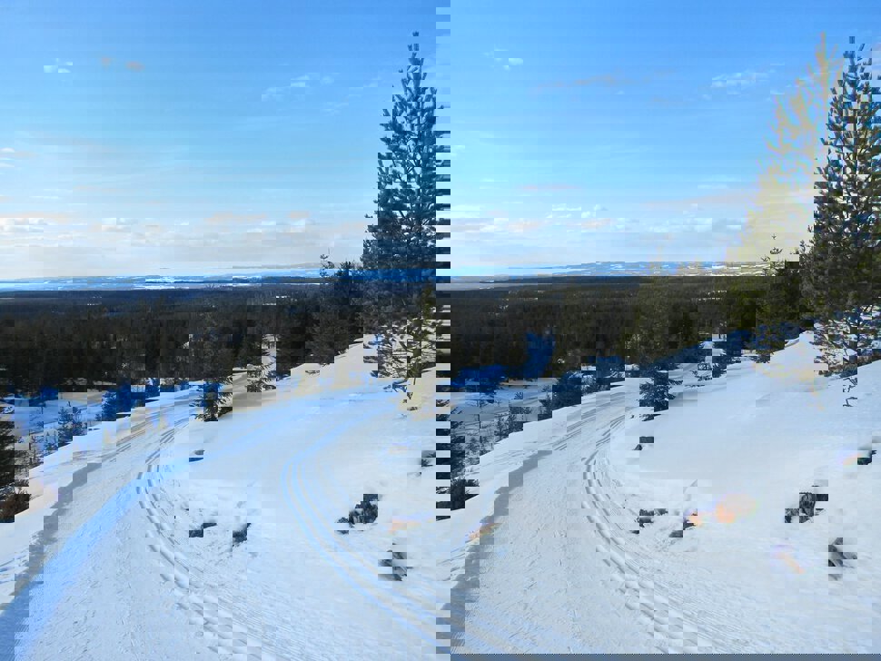 Nordover fra Sisselrotkampen