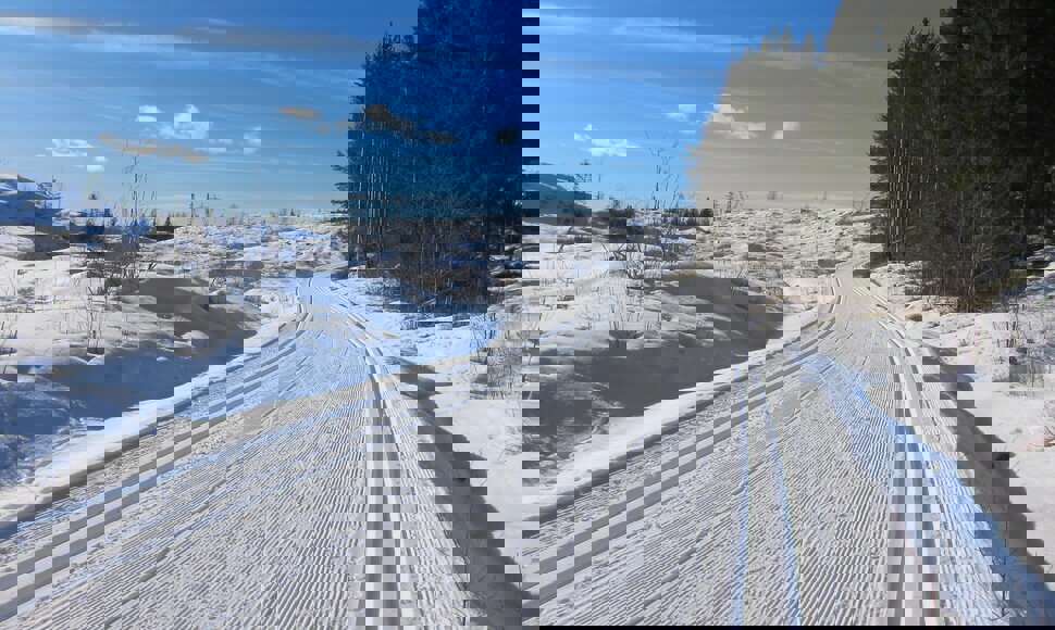 Oppover Kniptjernvegen