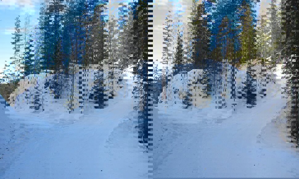 Løypekryss ved Østre Buttentjern