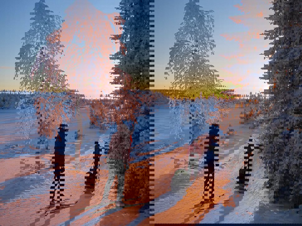 Hjemover fra Rausteinshytta