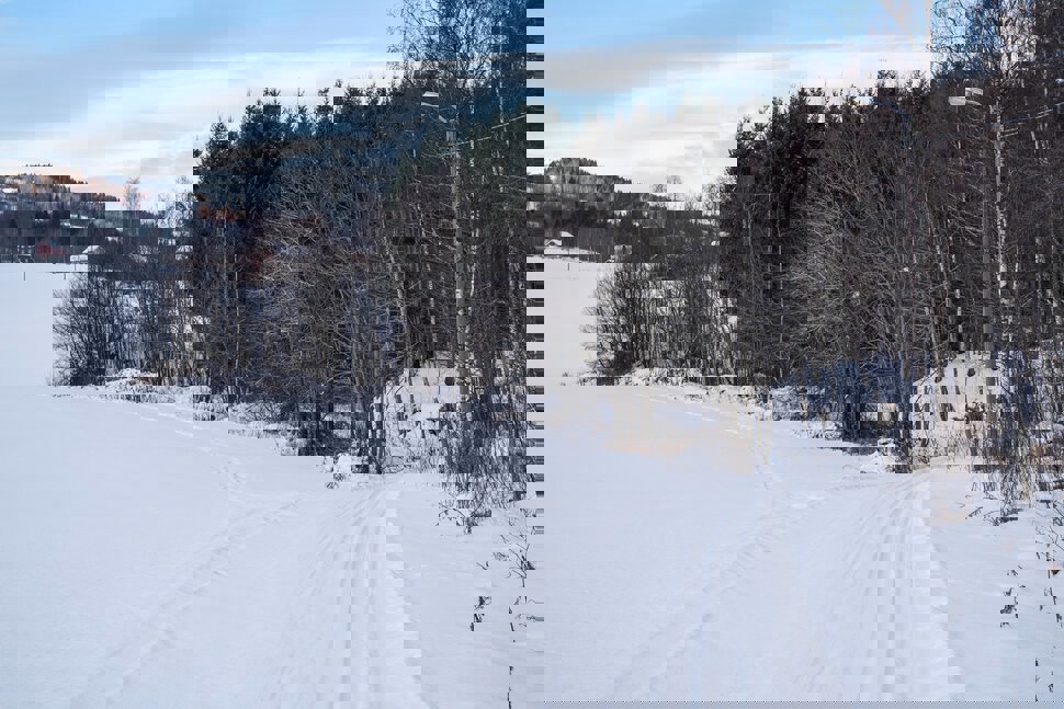 Snødryss i lysløypa