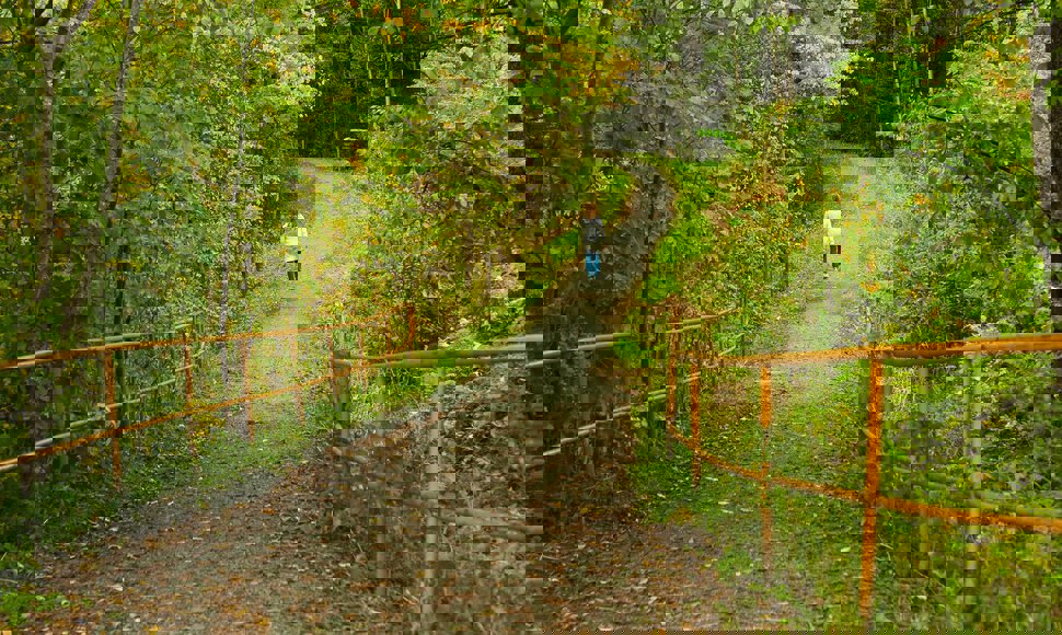 Høstlig vandring langs Øverlandselva