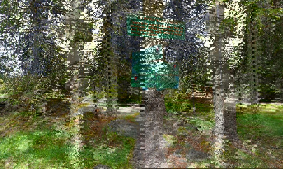 SIS radiostasjon Ermelin