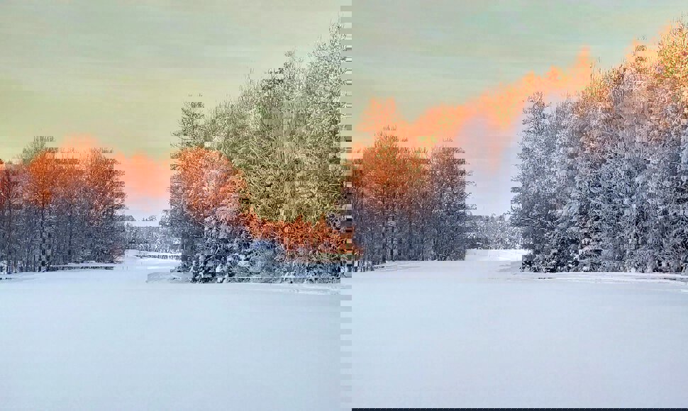 Her ser vi Pepperstadjordet mot nord. De øverste trekronene fanger fortsatt litt sollys, men snart går sola ned.