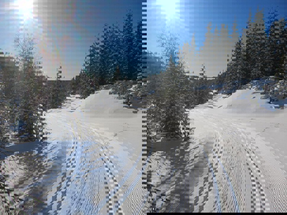 Solfylt vinterdag på Totenåsen