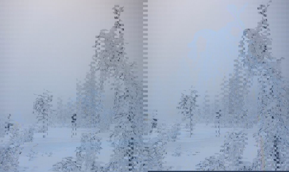 Løypedele ved Høgbrenna