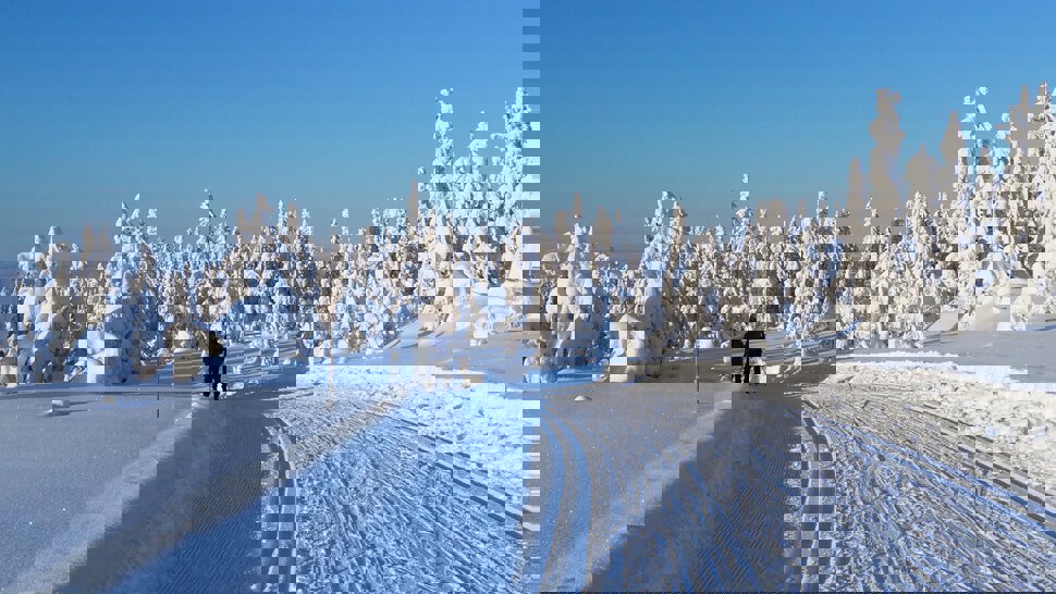 Flotte løyper på Totenåsen