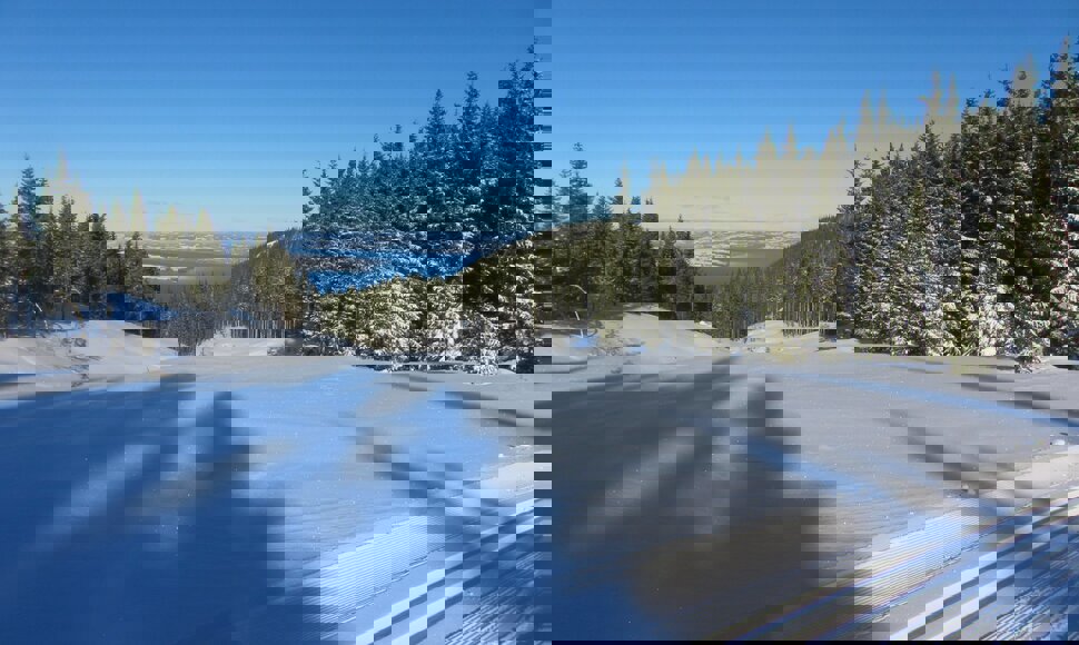 Utsikt fra Læssplassen