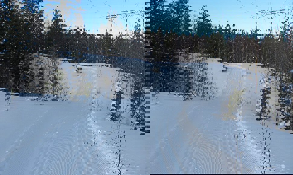 Fine spor i Kollerløypa